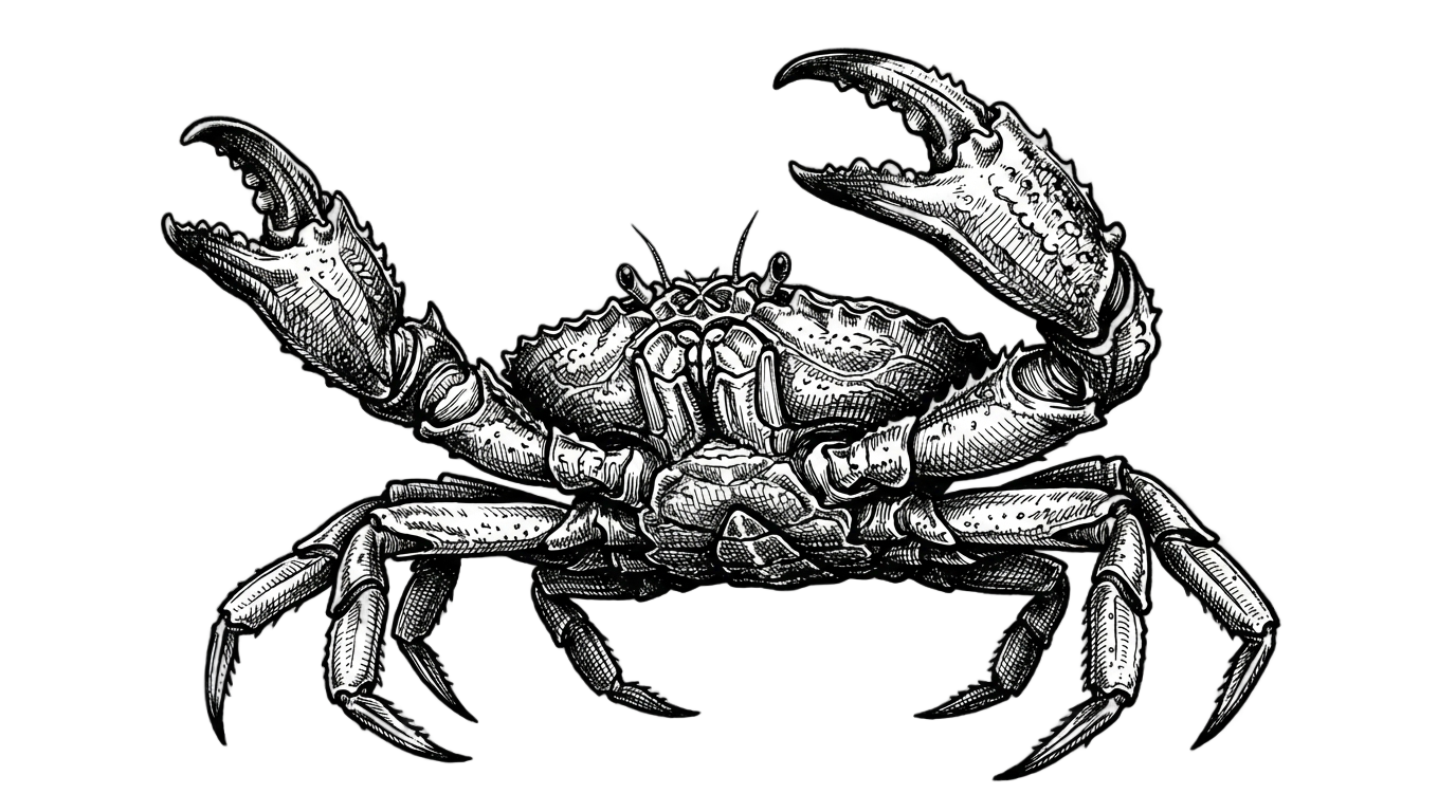 crab png black and white PNG transparent background