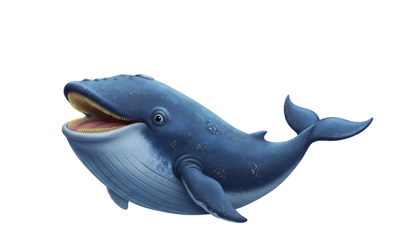 blue whale cartoon png PNG transparent background