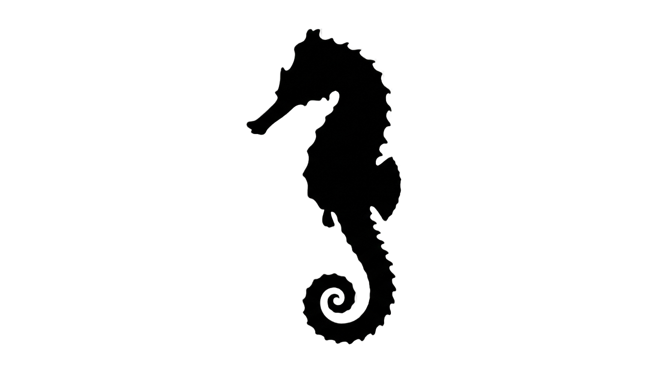 seahorse silhouette png PNG transparent background