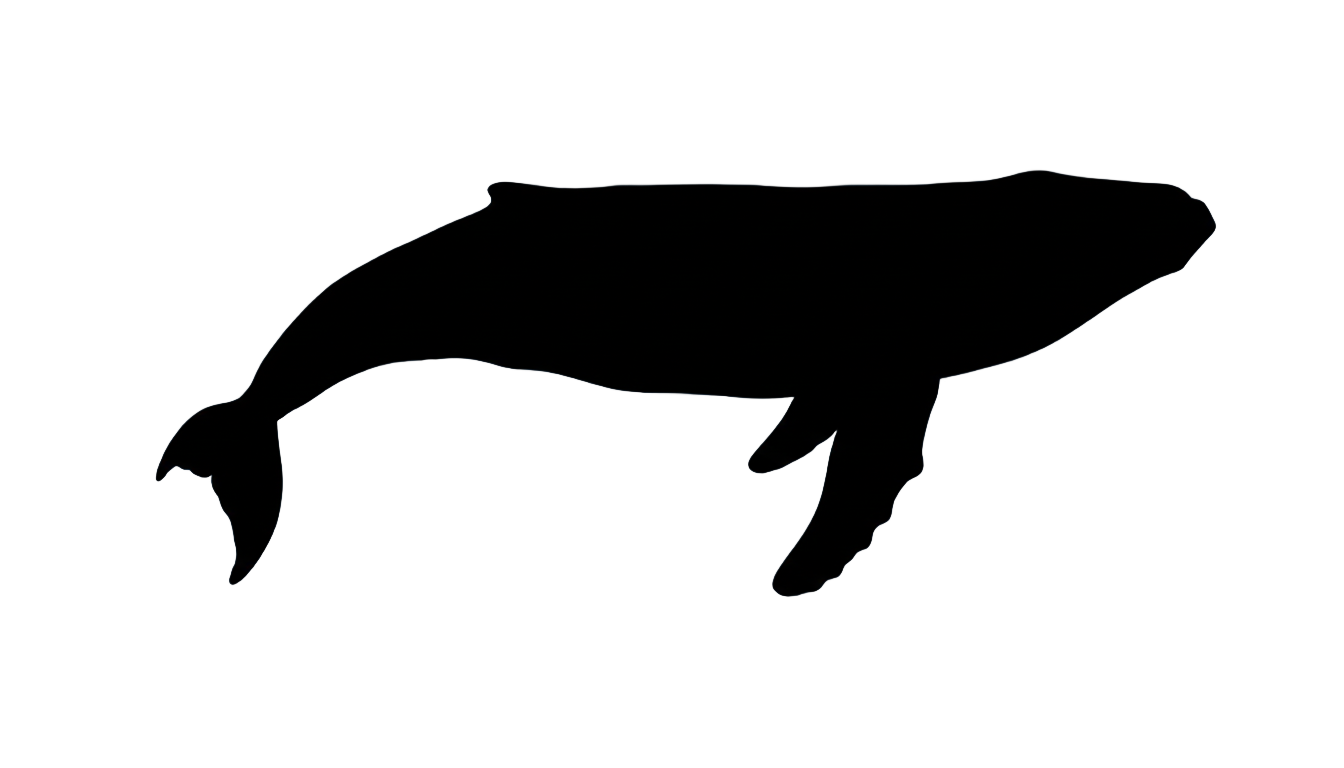 whale silhouette png PNG transparent background