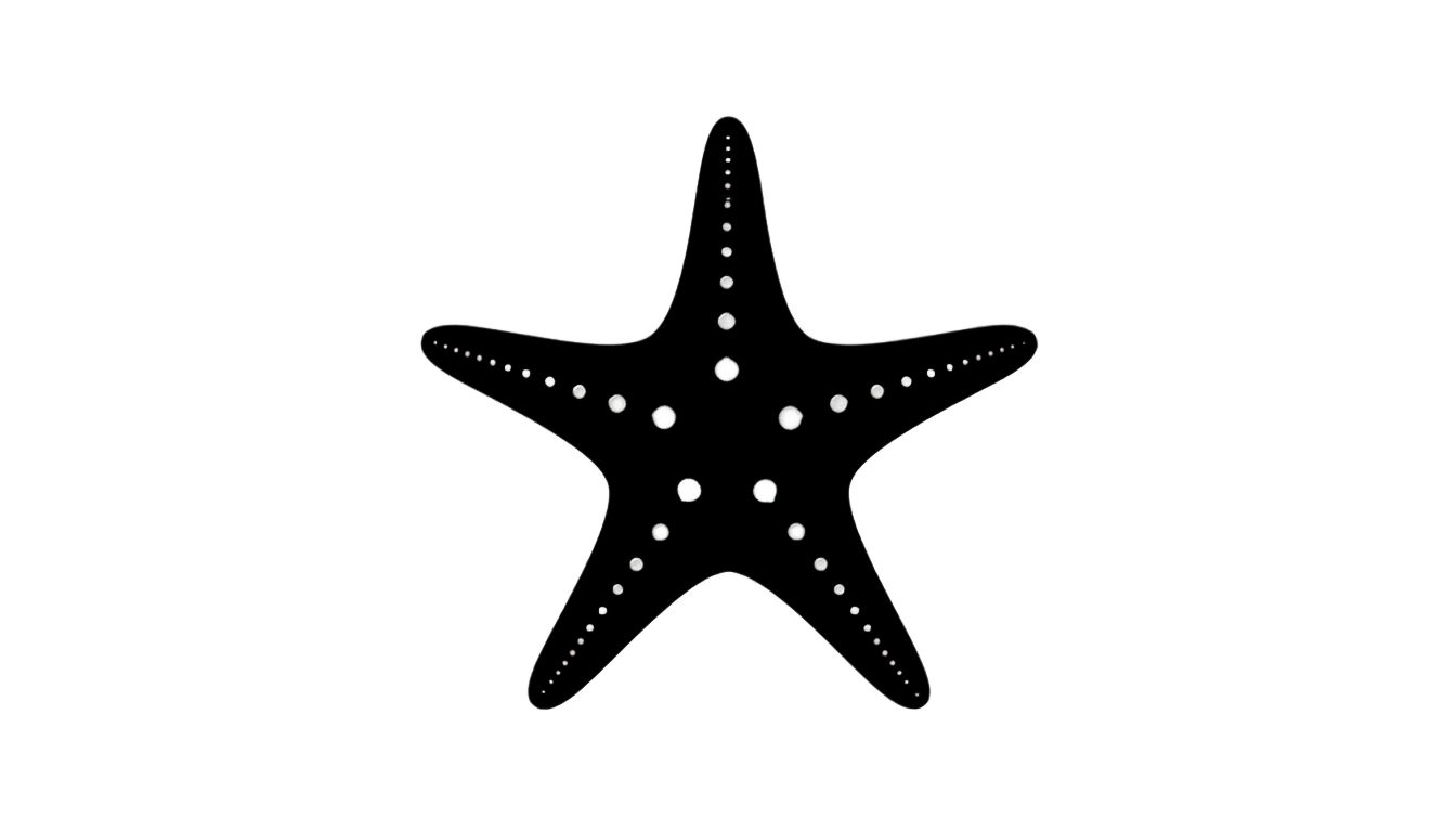 starfish silhouette png PNG transparent background