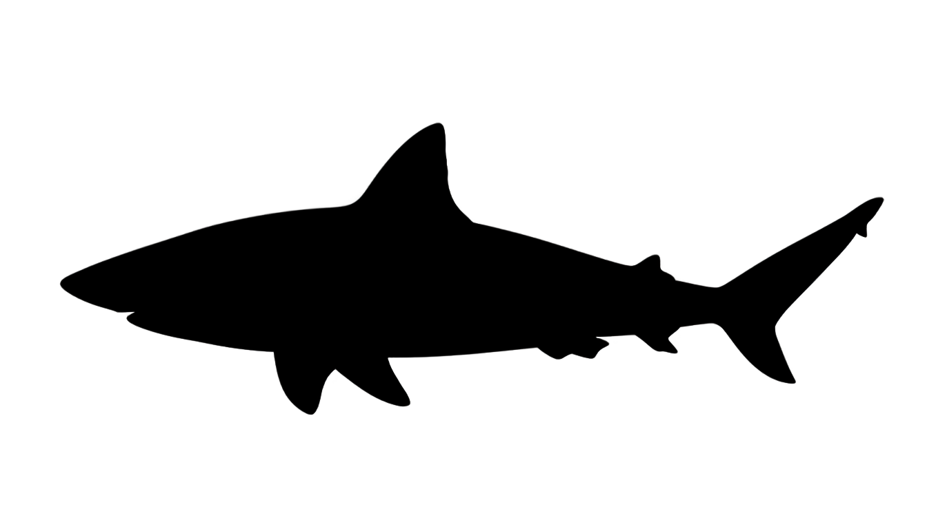 shark silhouette png PNG transparent background