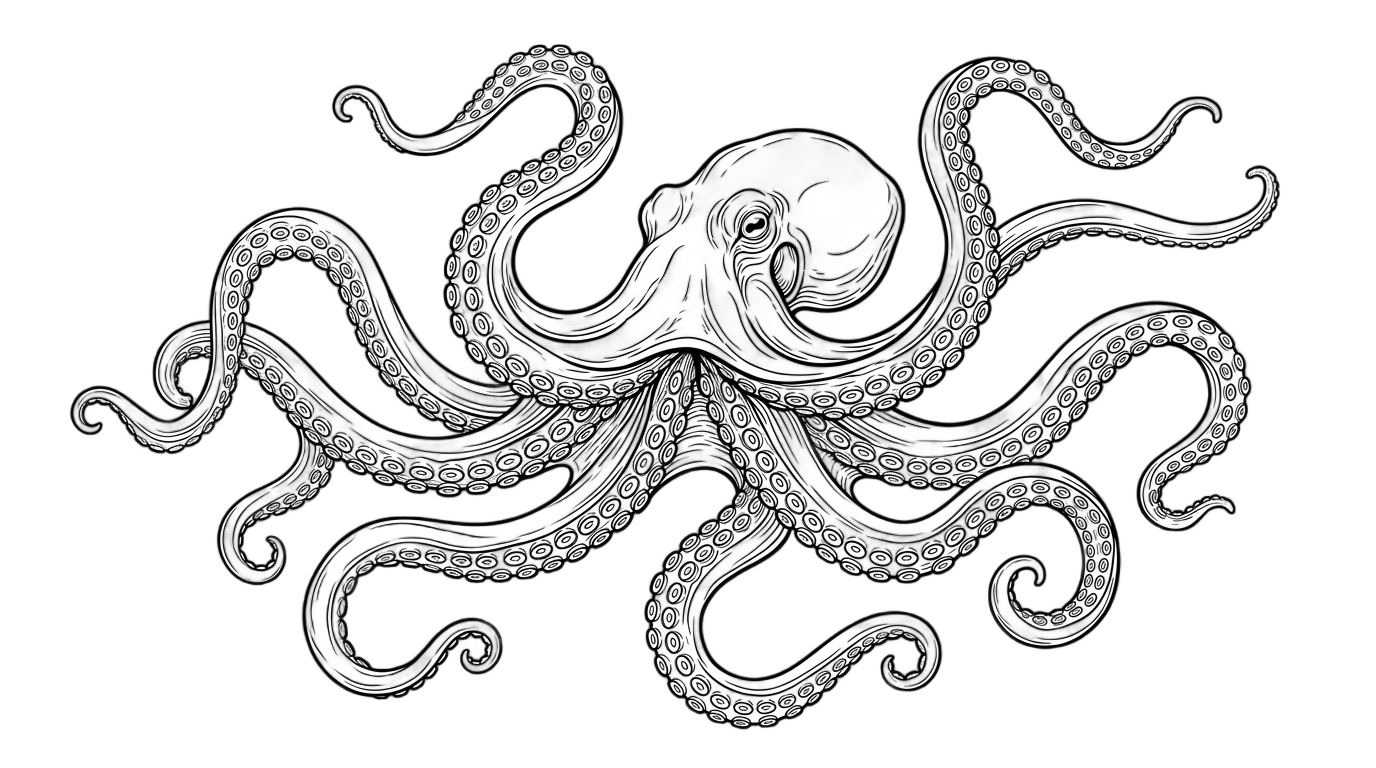 octopus outline png PNG transparent background
