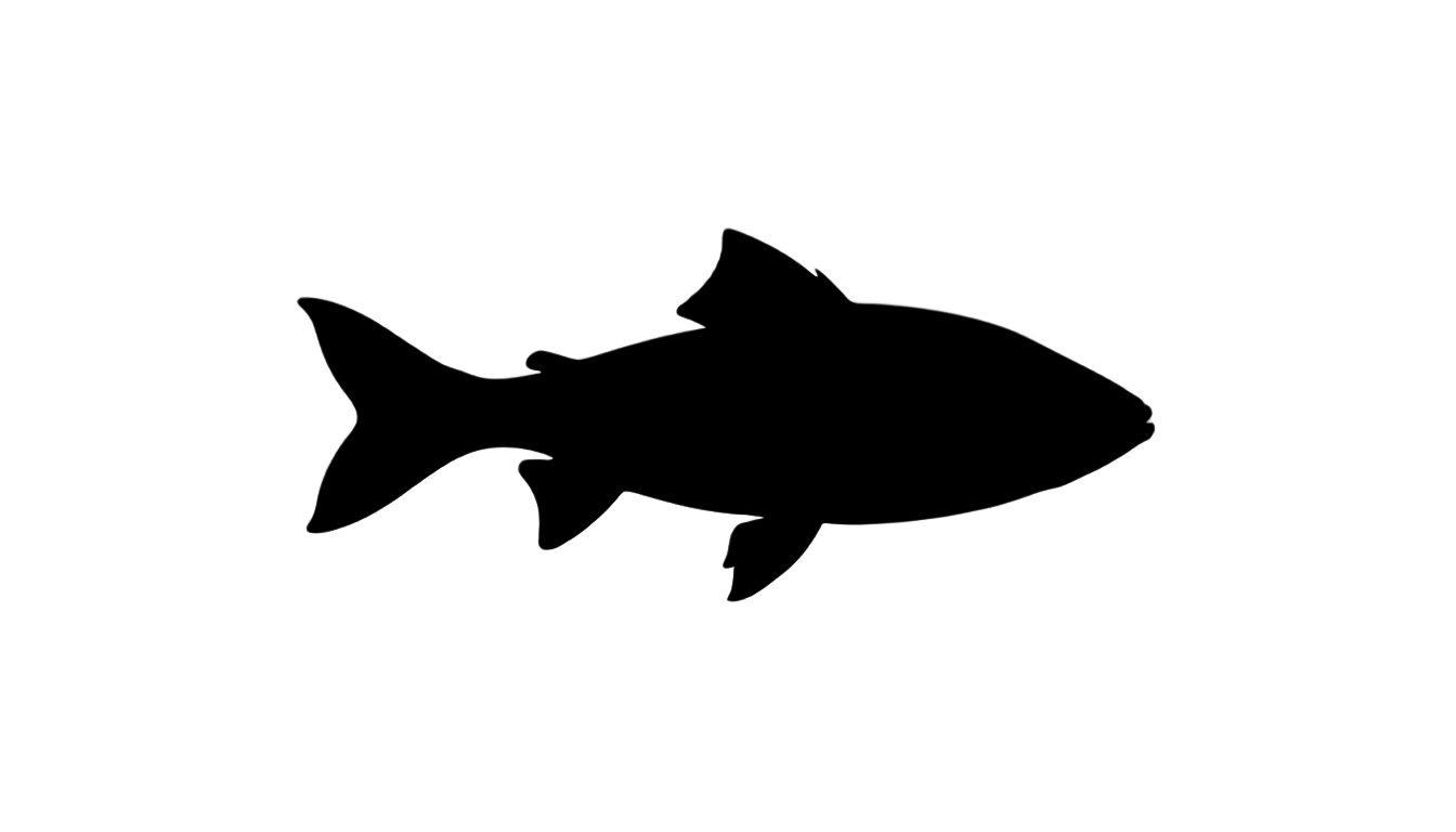 fish silhouette png PNG transparent background