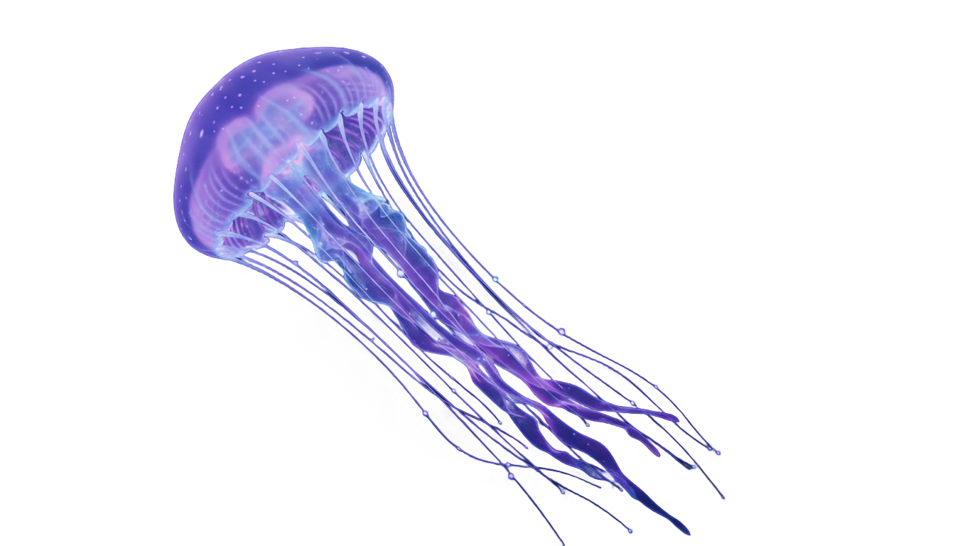 jellyfish png photoshop PNG transparent background