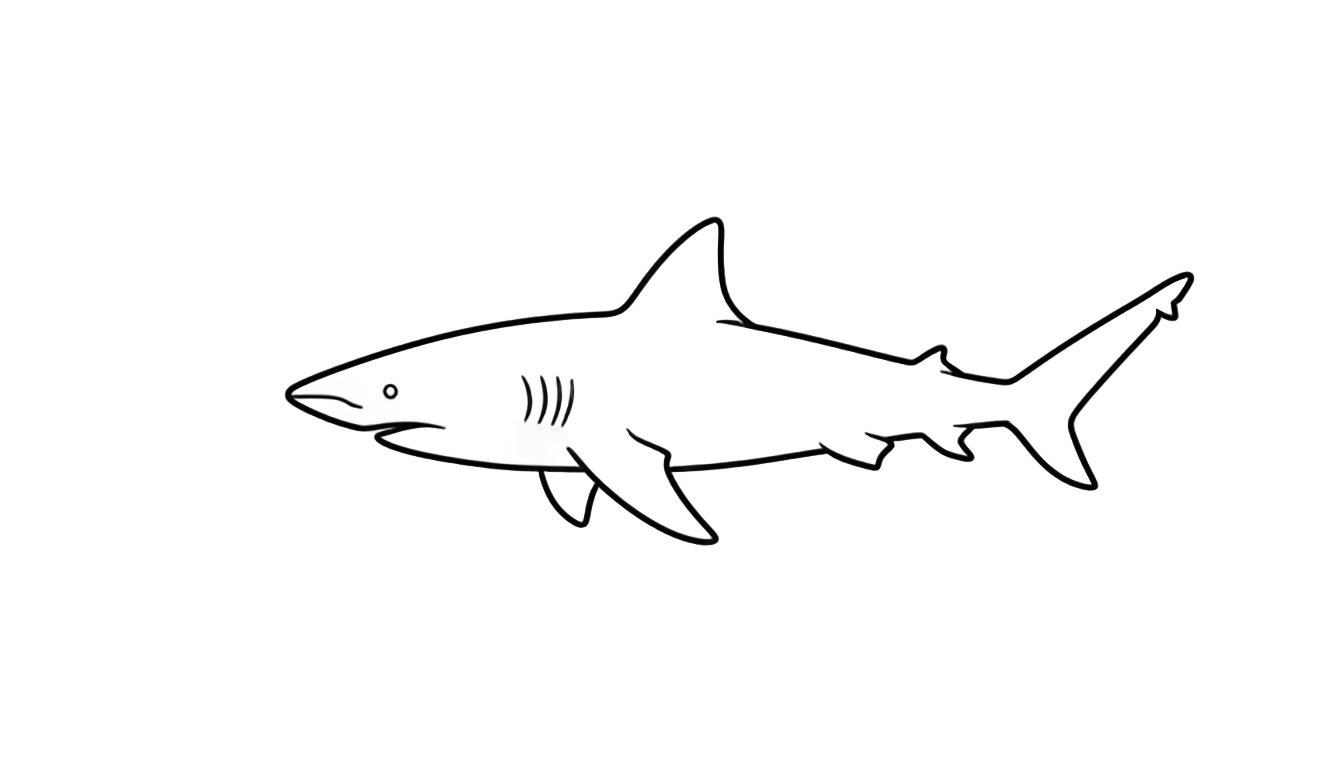 shark outline png PNG transparent background