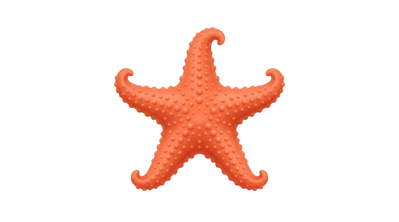 starfish icon png PNG transparent background