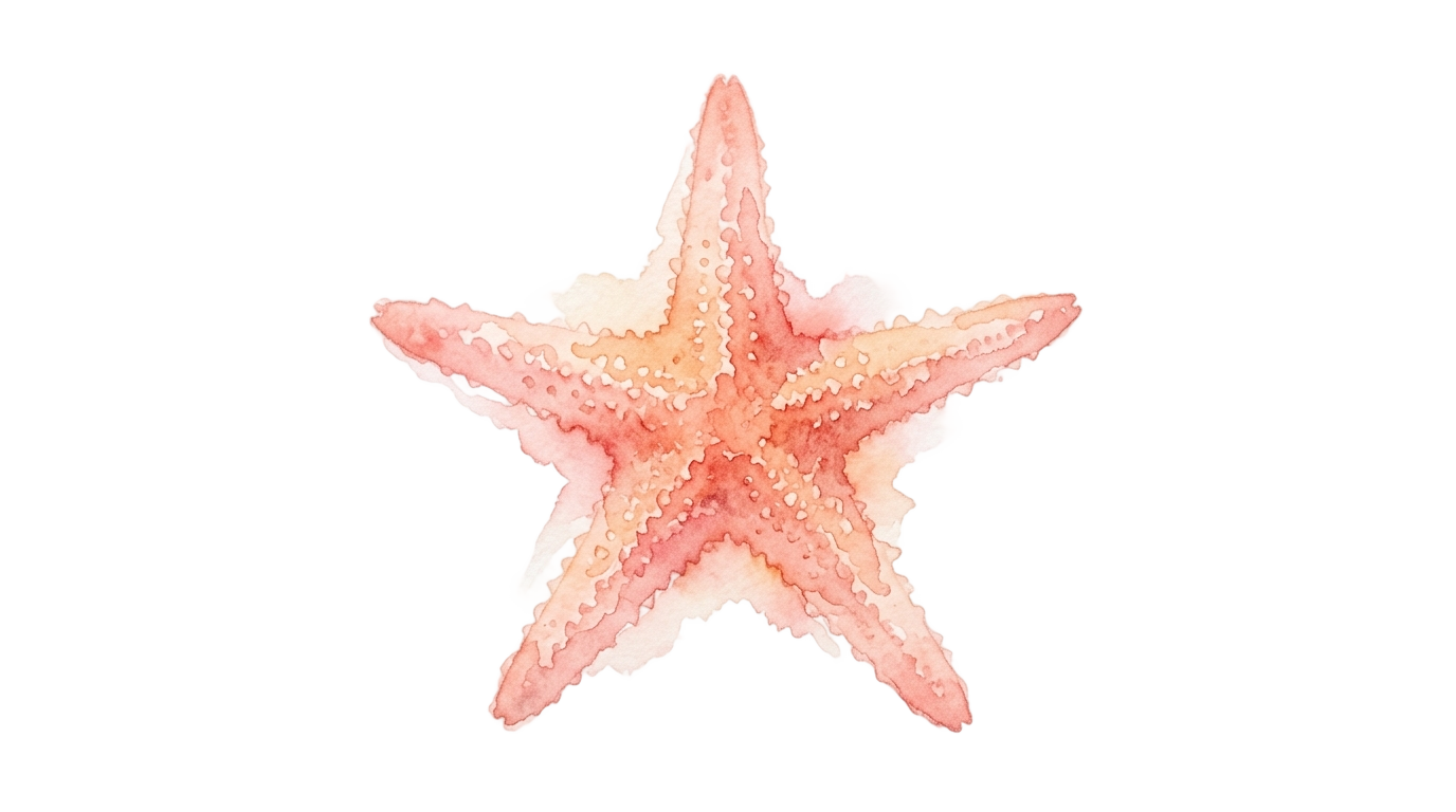 watercolor starfish png PNG transparent background