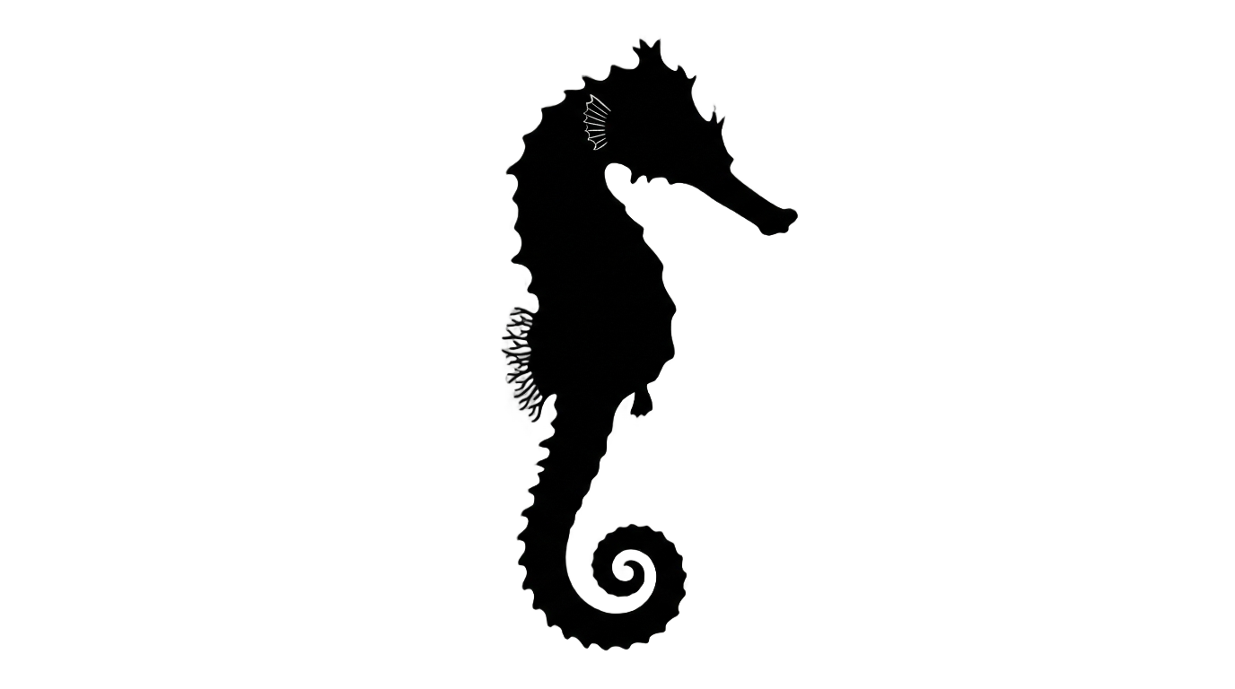 seahorse silhouette png PNG transparent background