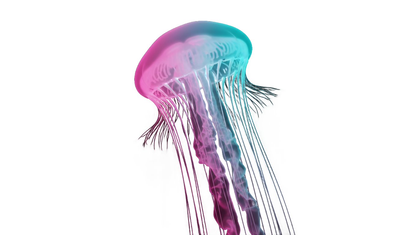 neon jellyfish png PNG transparent background