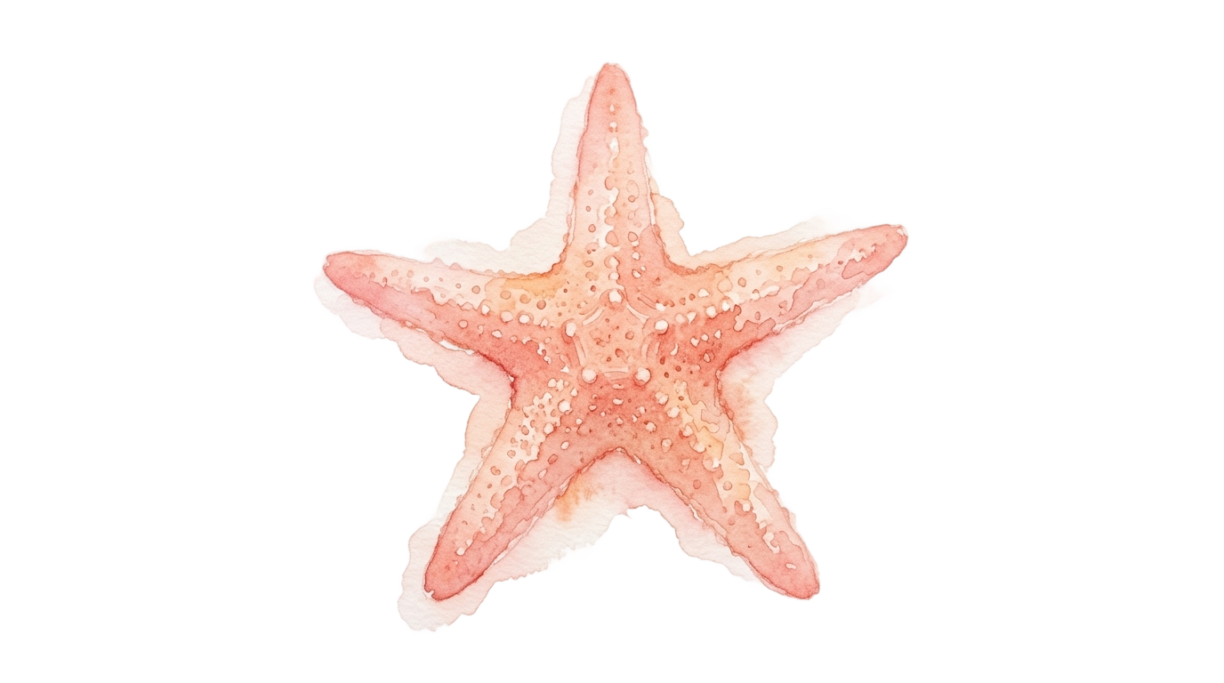 watercolor starfish png PNG transparent background