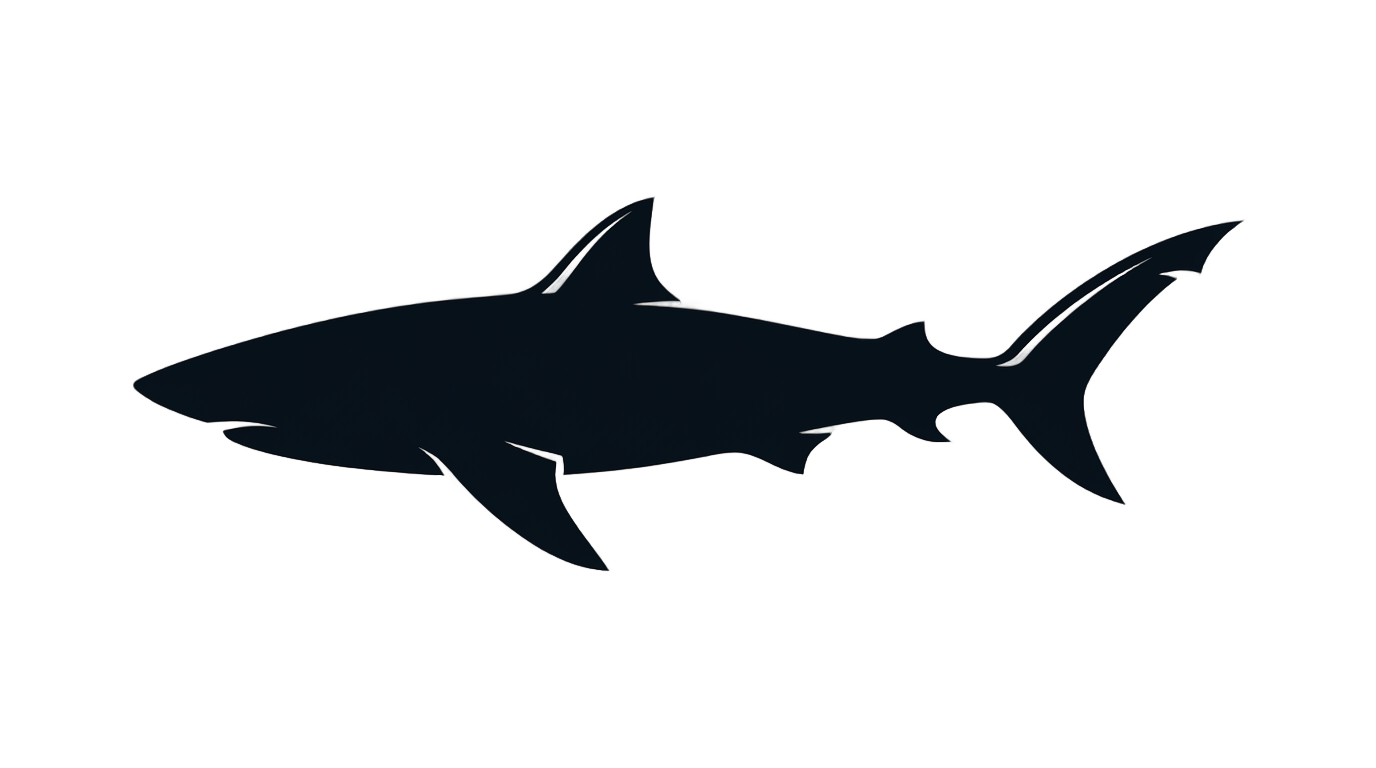 shark logo vector png PNG transparent background