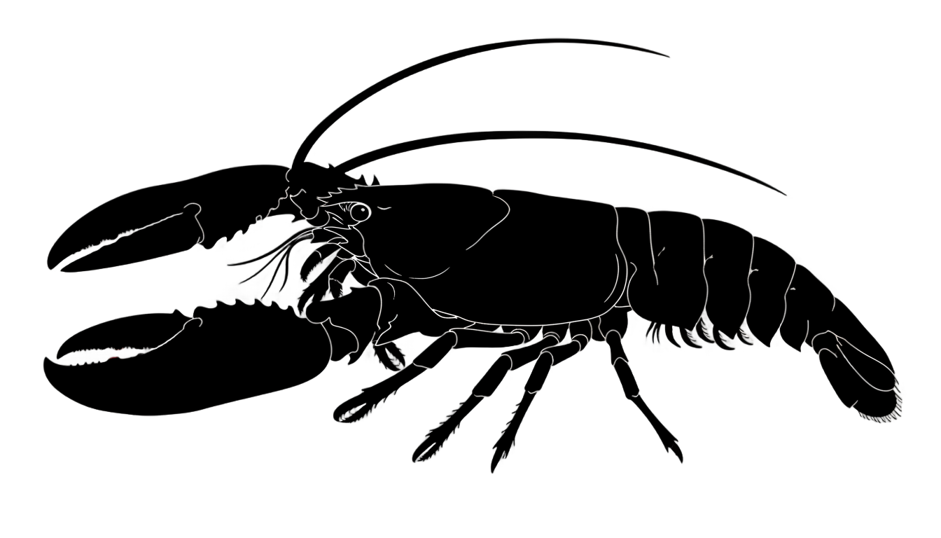 lobster silhouette png PNG transparent background