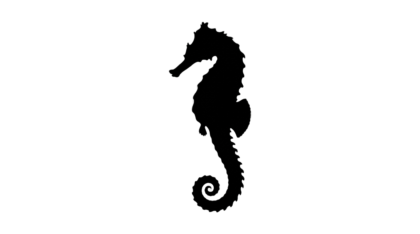 seahorse silhouette png PNG transparent background