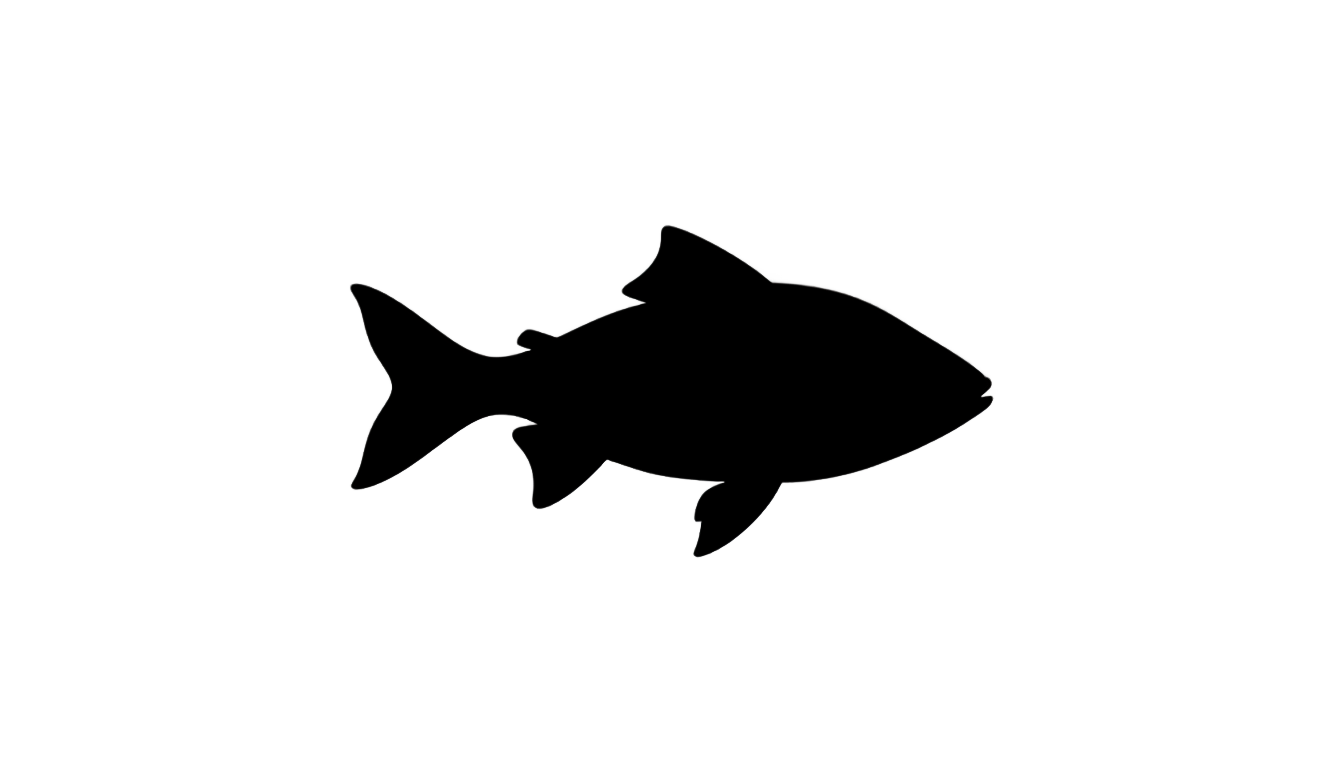 fish silhouette png PNG transparent background