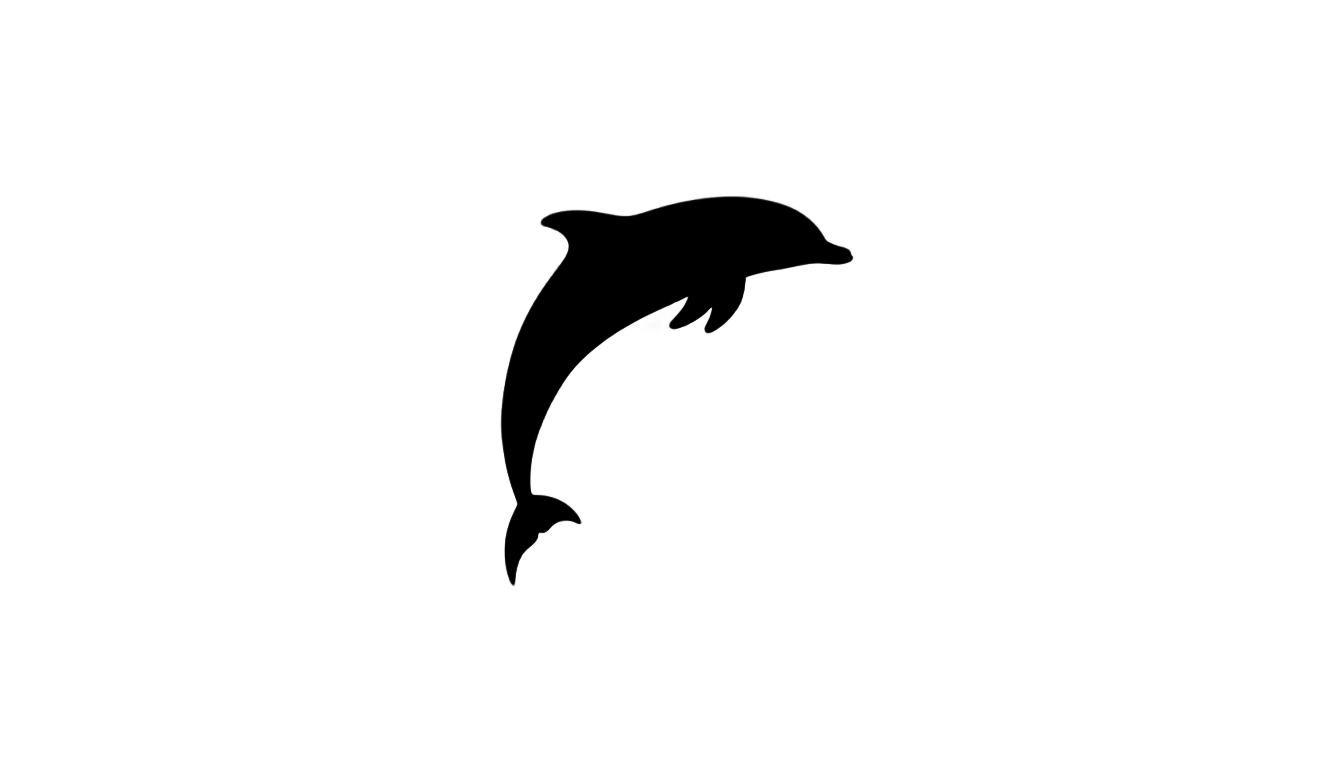 dolphin outline png PNG transparent background