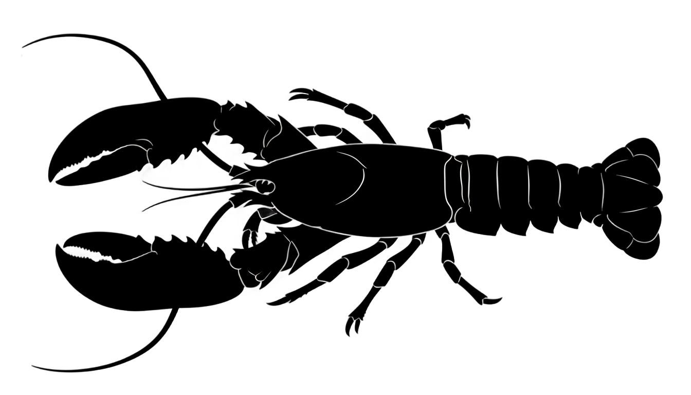lobster silhouette png PNG transparent background