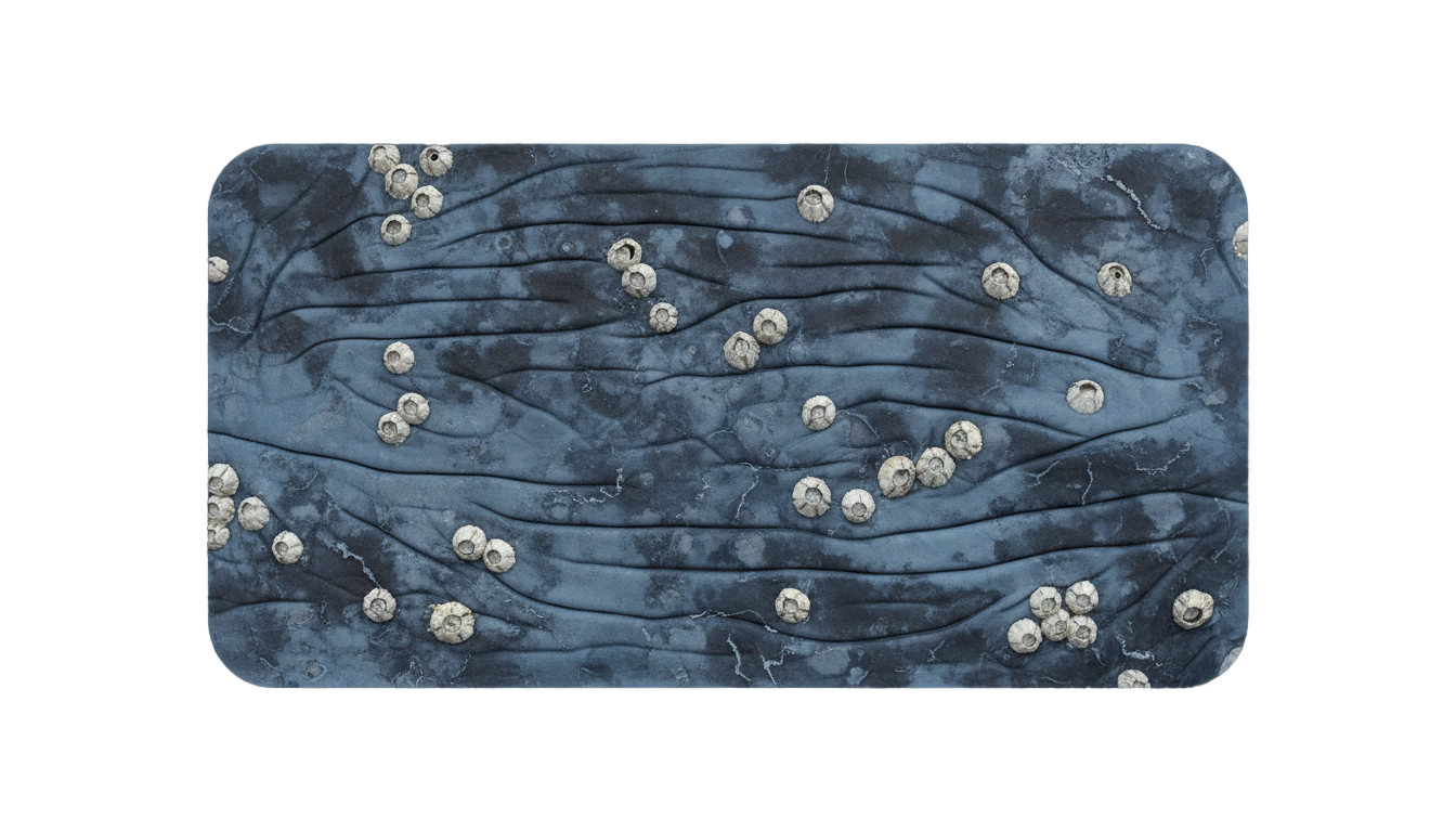 whale skin png PNG transparent background