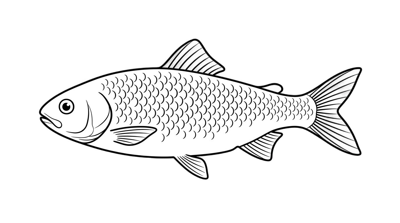 fish line art png PNG transparent background