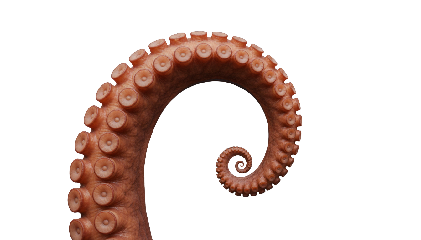 octopus tentacle png PNG transparent background