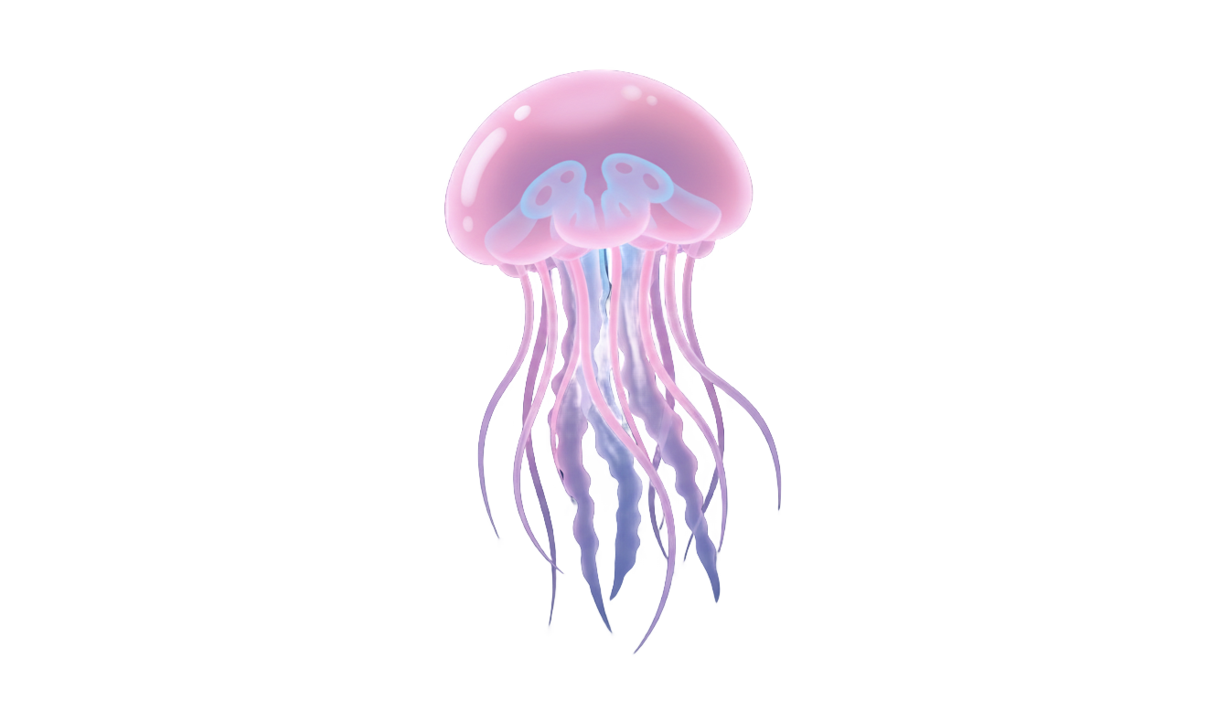 jellyfish clipart png PNG transparent background
