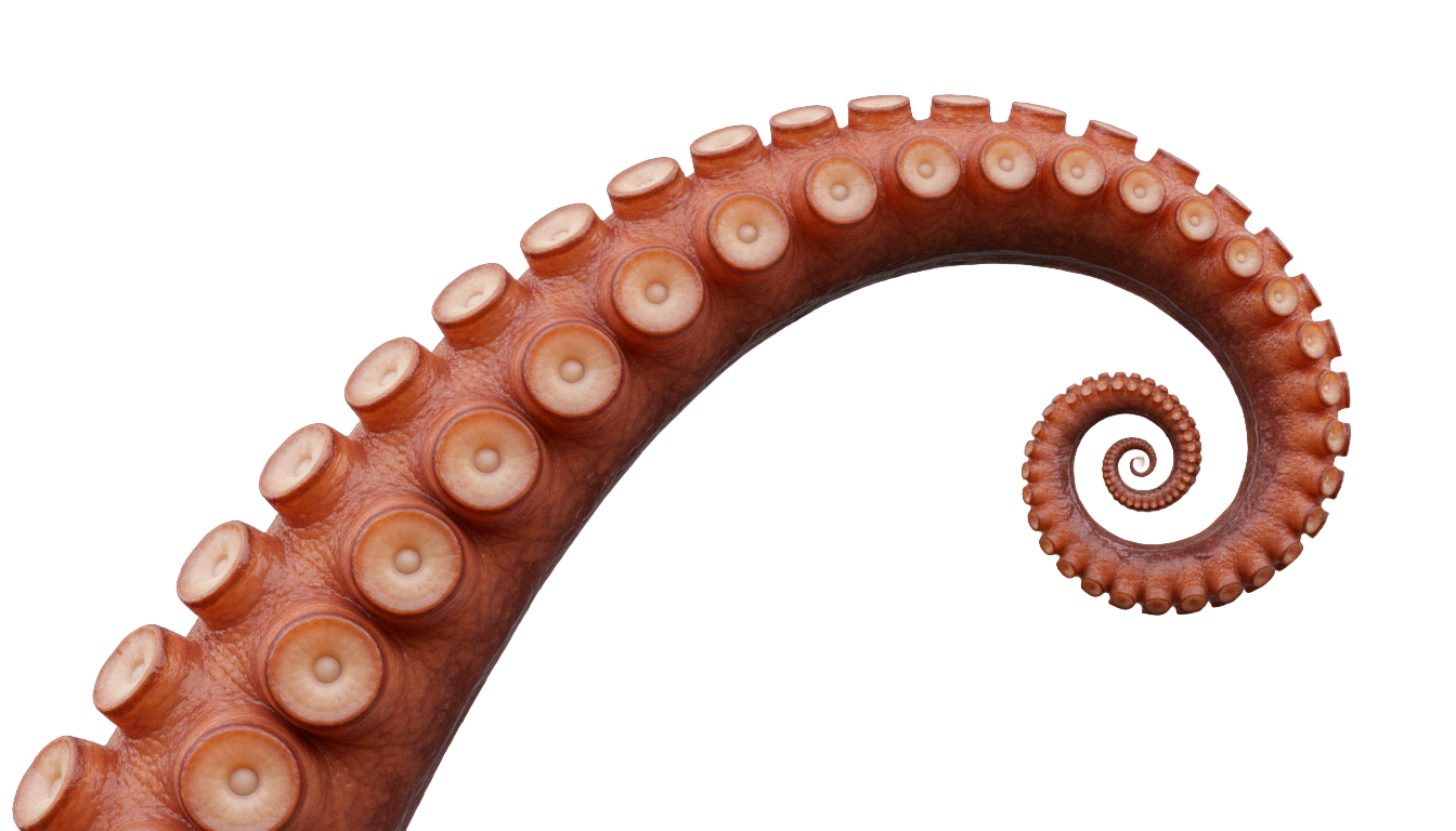 octopus tentacle png PNG transparent background