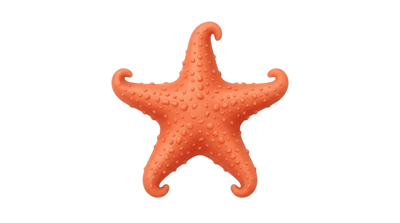 starfish icon png PNG transparent background