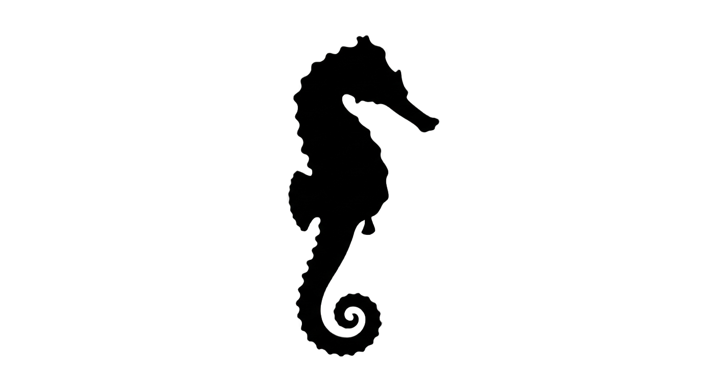 seahorse silhouette png PNG transparent background