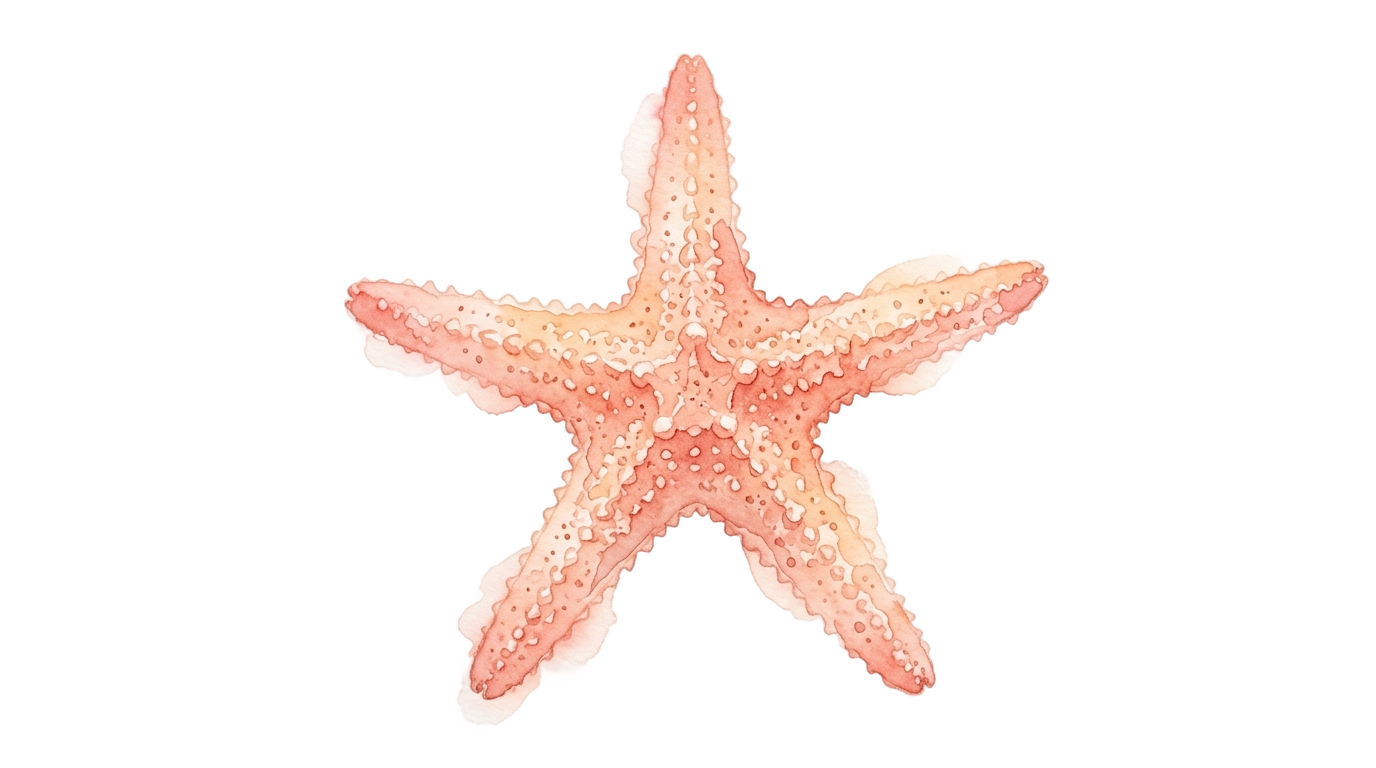 watercolor starfish png PNG transparent background