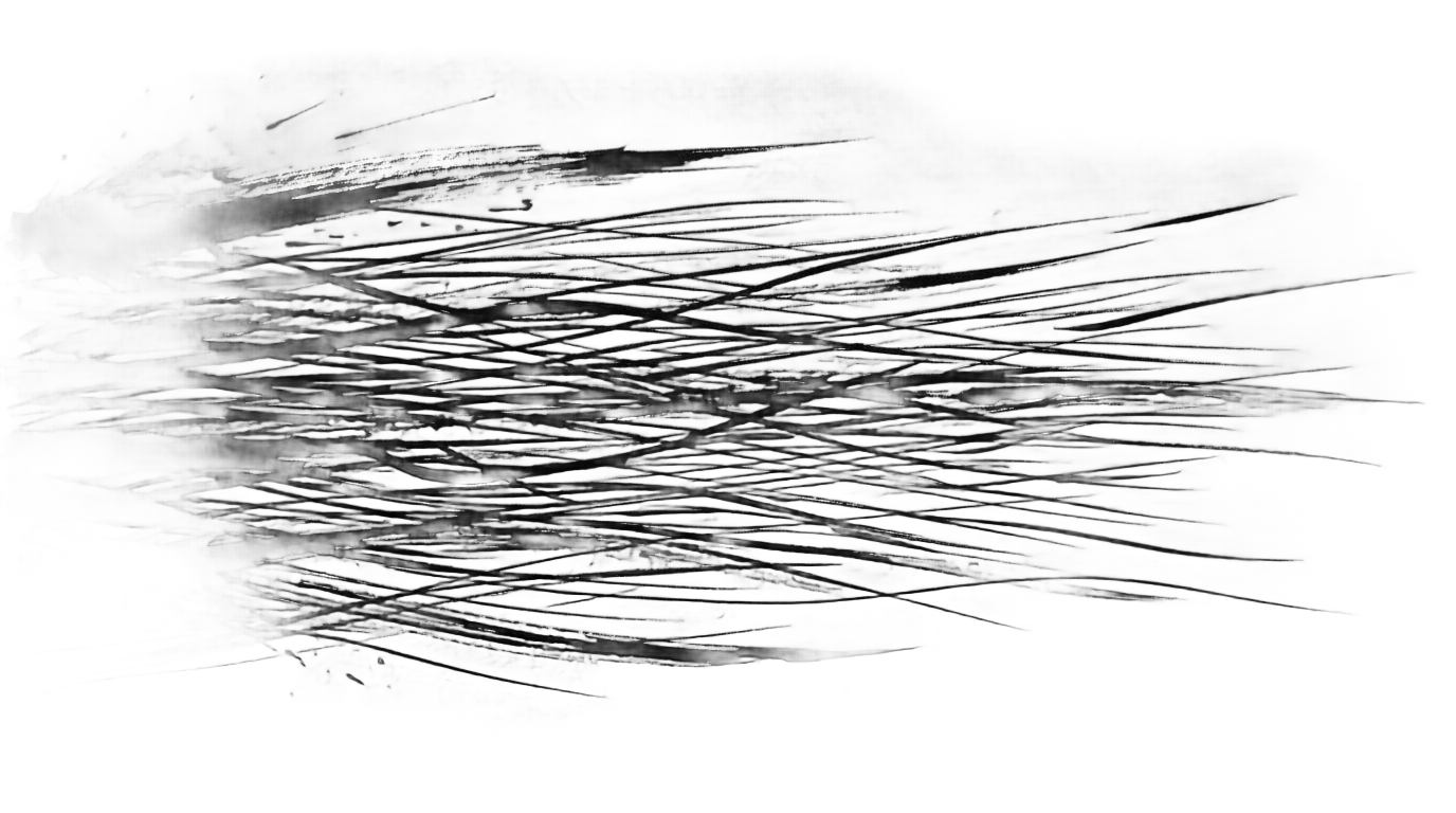 Anime Speed Lines Png Gif PNG #1b