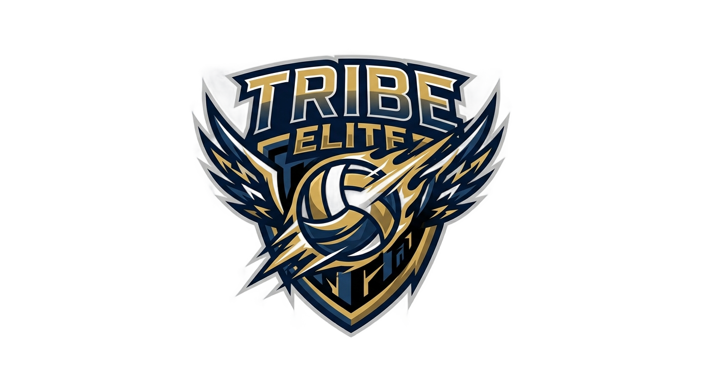 png tribe elite volleyball PNG transparent background