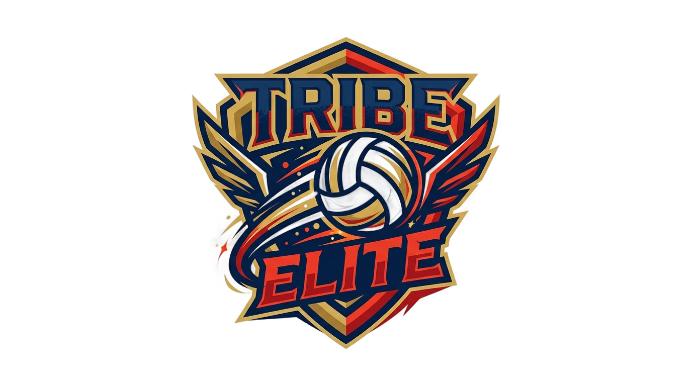 png tribe elite volleyball PNG transparent background