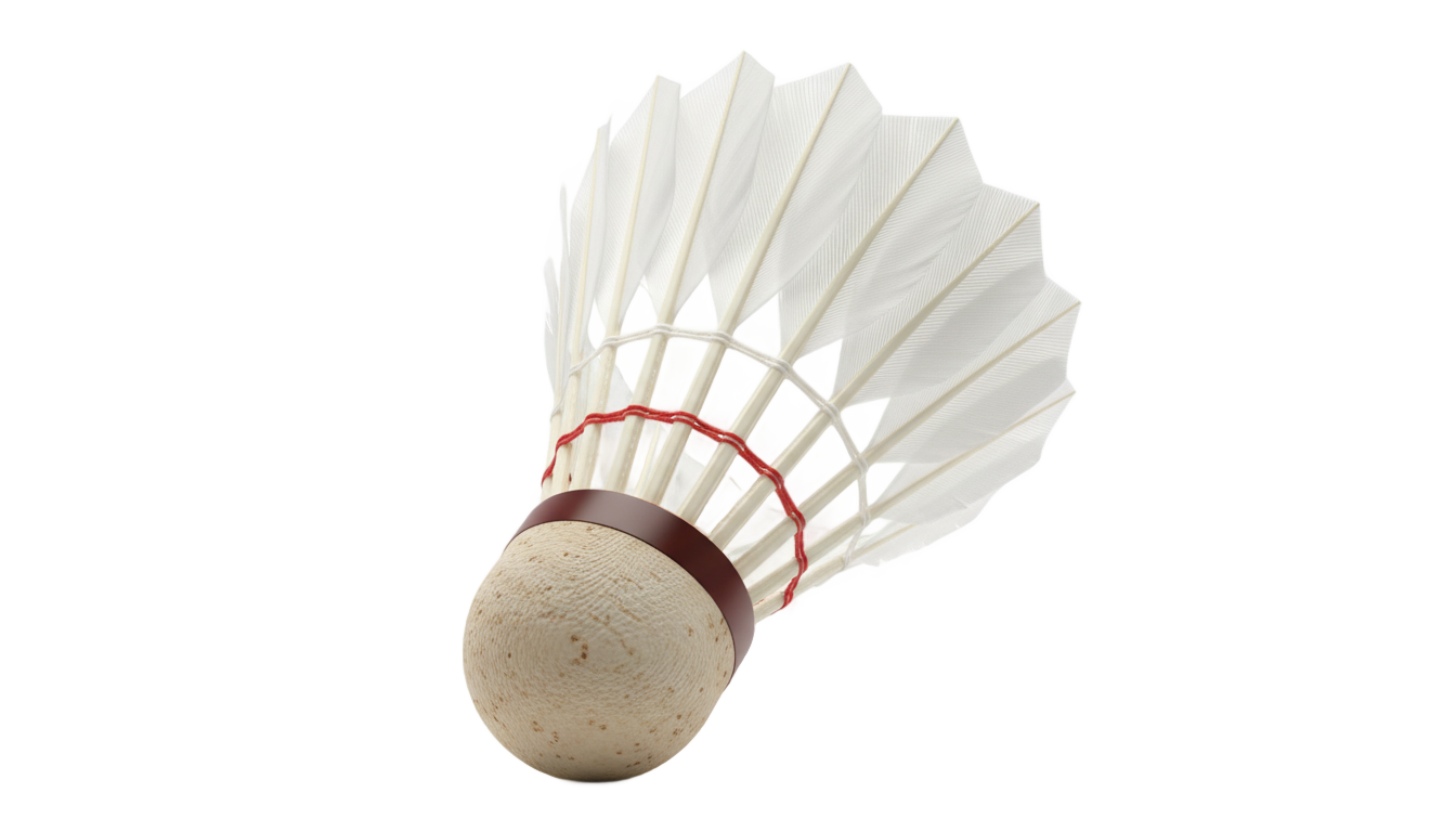 badminton png PNG transparent background