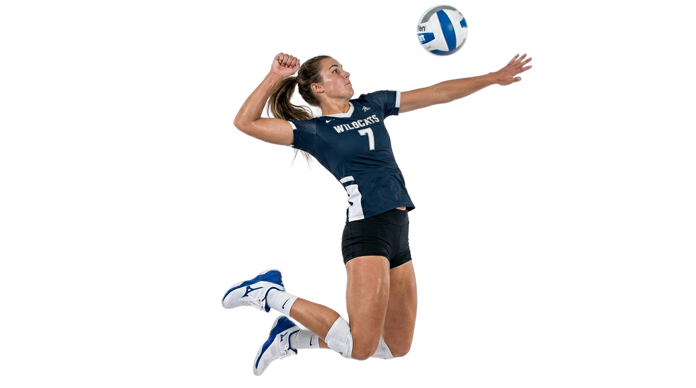 volleyball spike silhouette png PNG transparent background