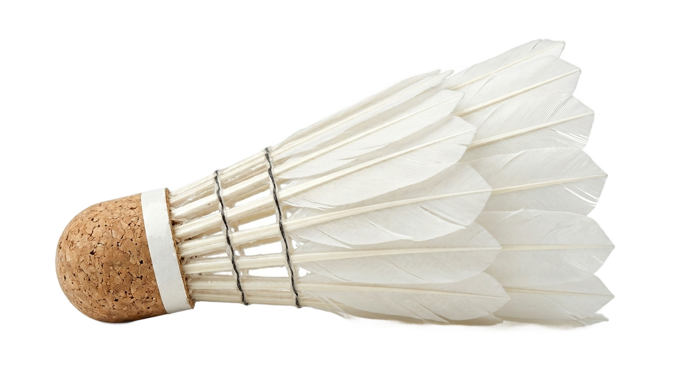 shuttle badminton png PNG transparent background