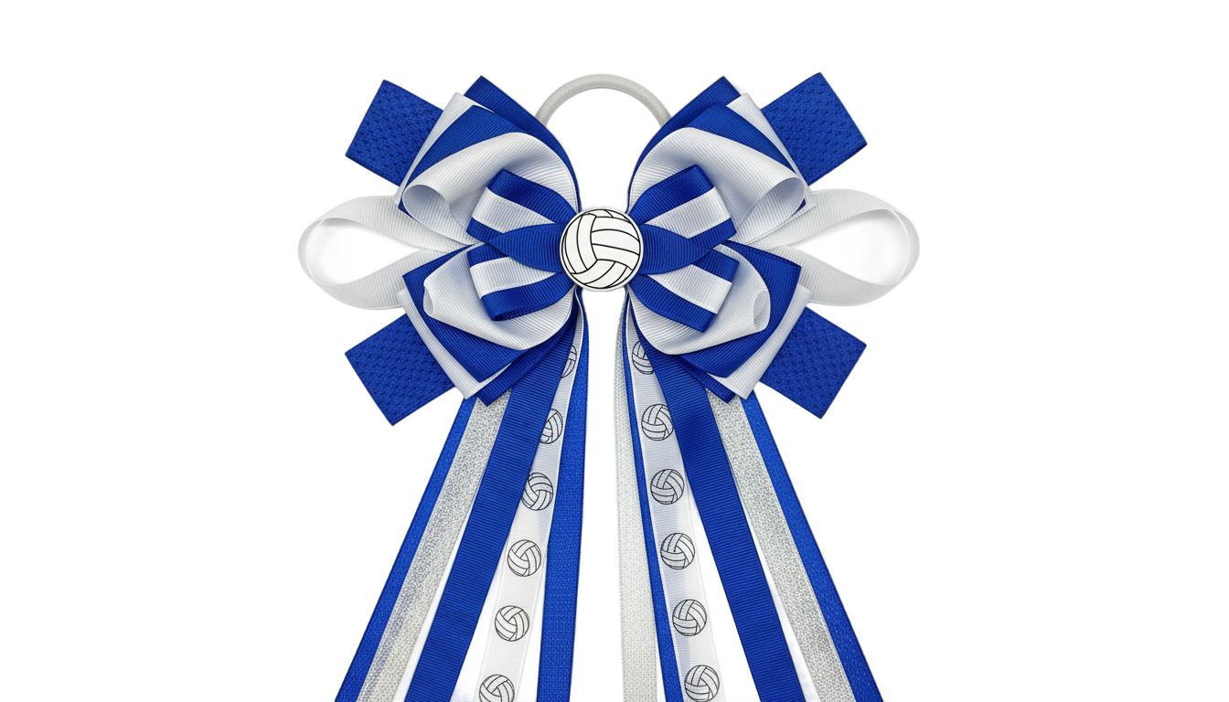 volleyball bow png PNG transparent background