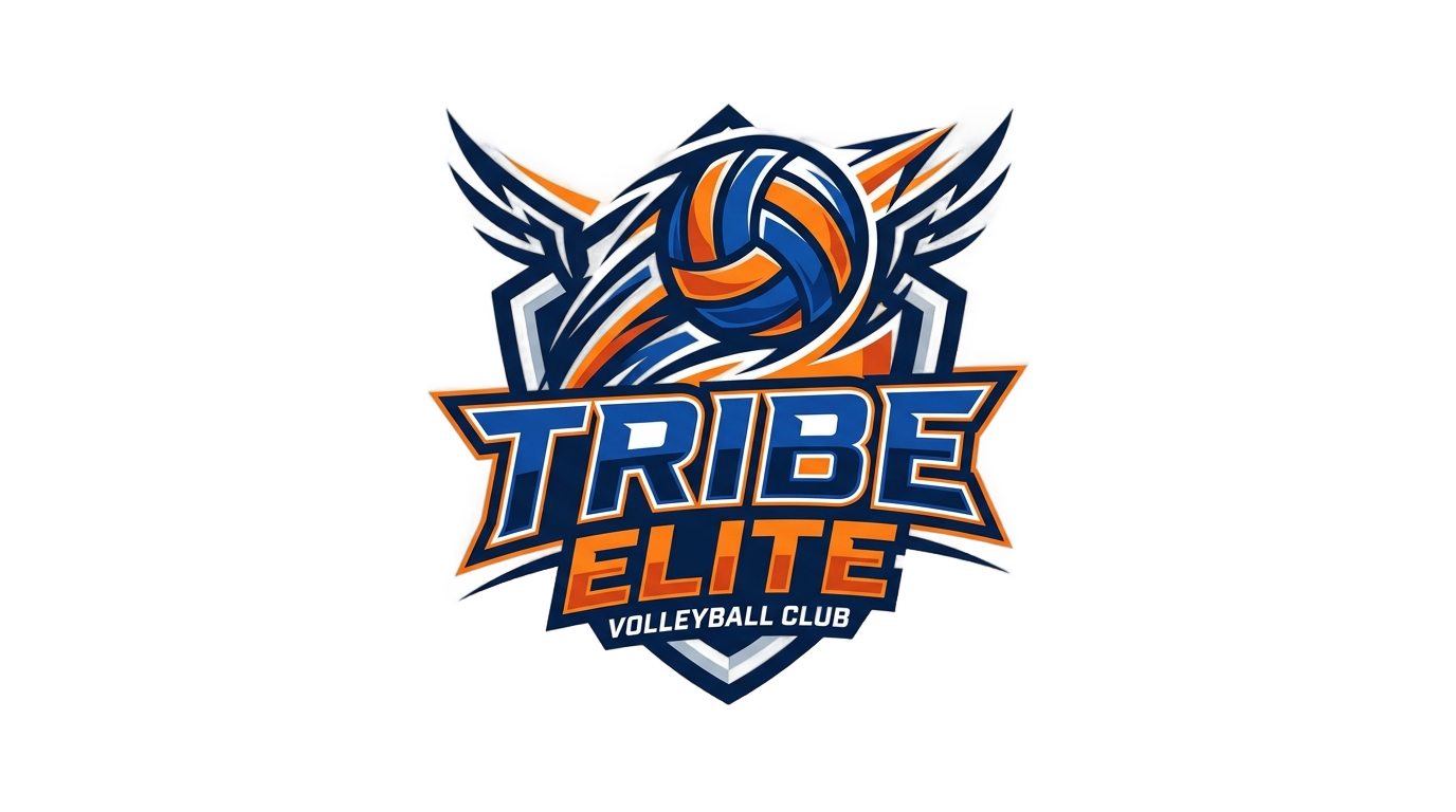 png tribe elite volleyball PNG transparent background