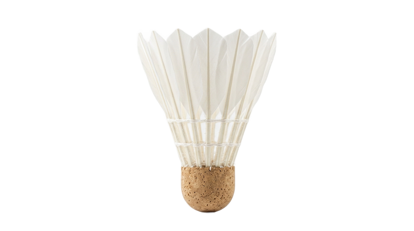 shuttle badminton png PNG transparent background
