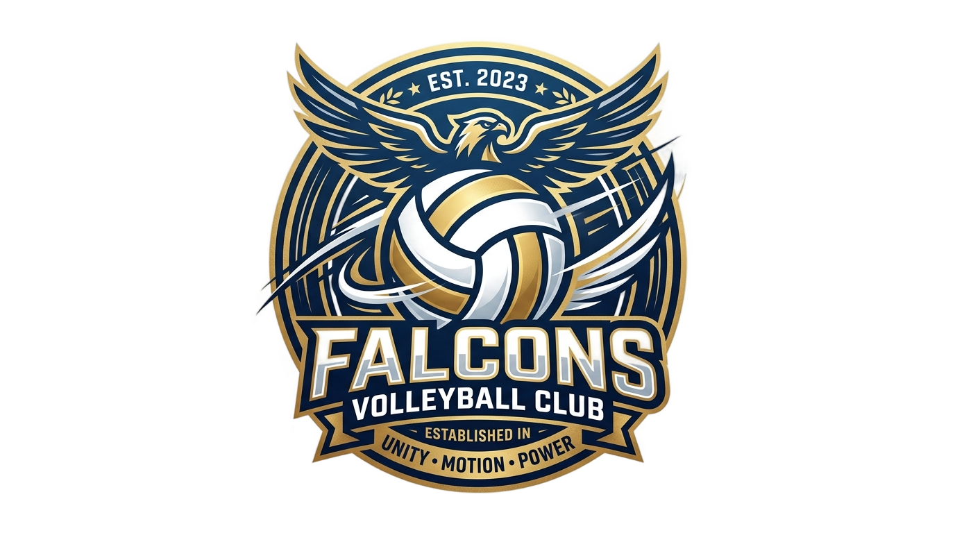 volleyball team logo png PNG transparent background