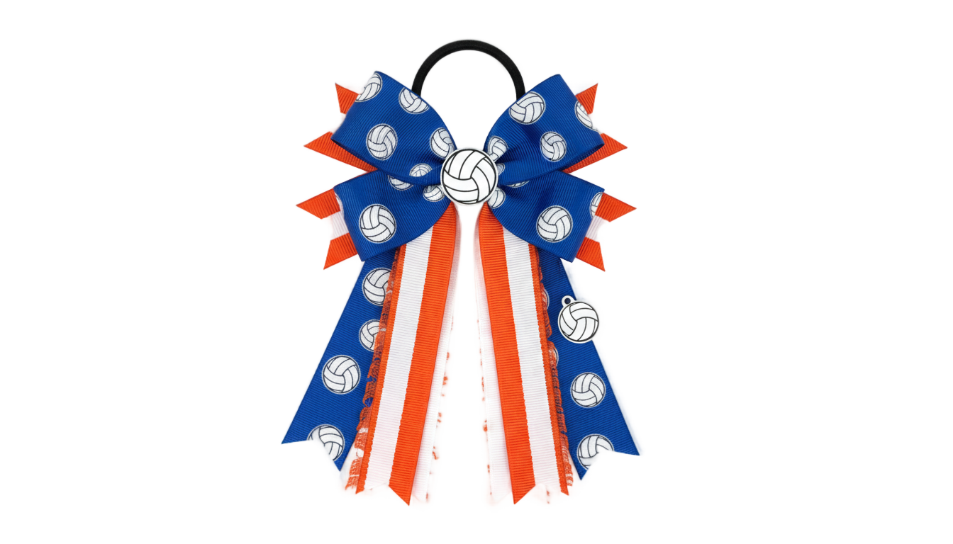 volleyball bow png PNG transparent background