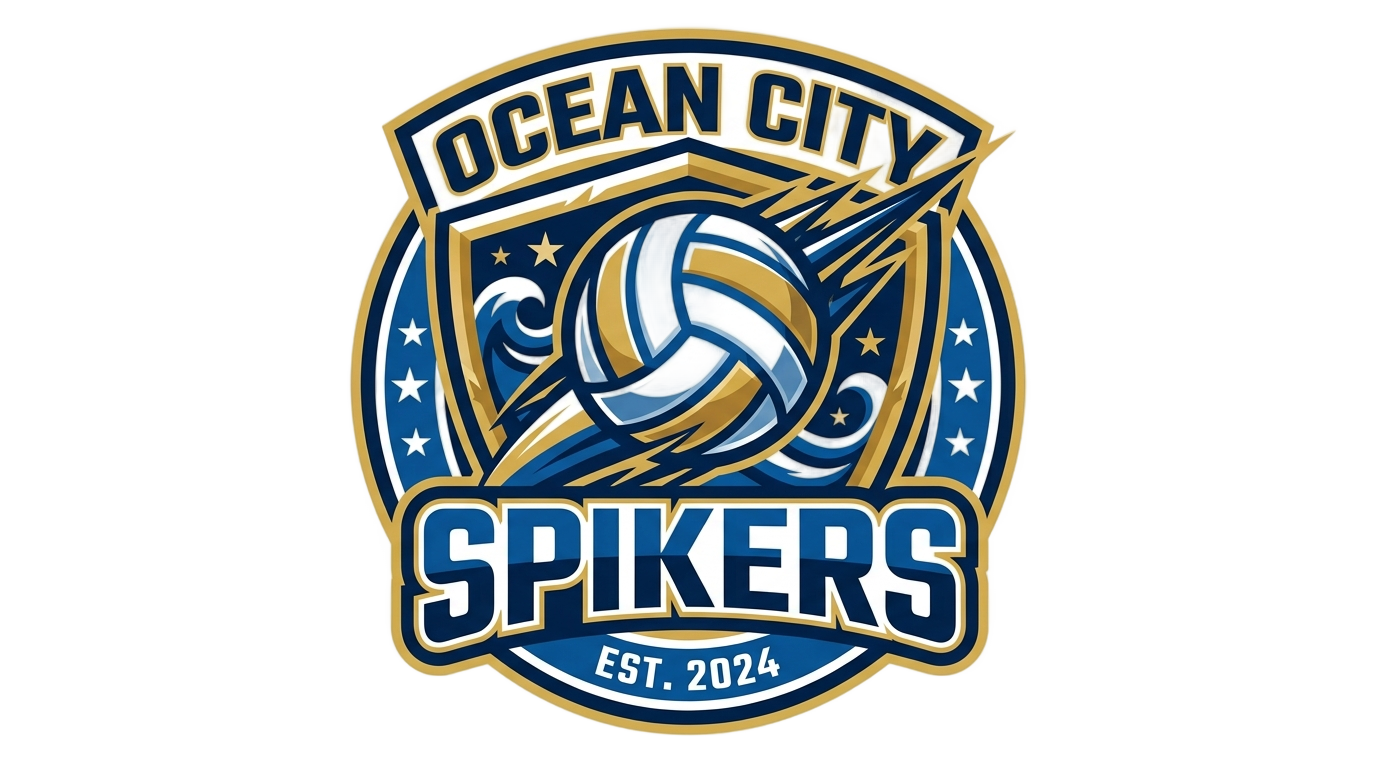 volleyball logo vector png PNG transparent background