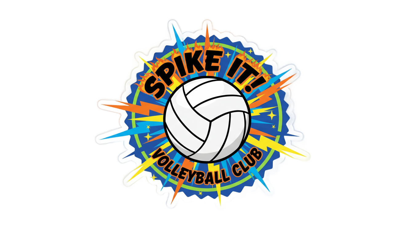 volleyball sticker png PNG transparent background