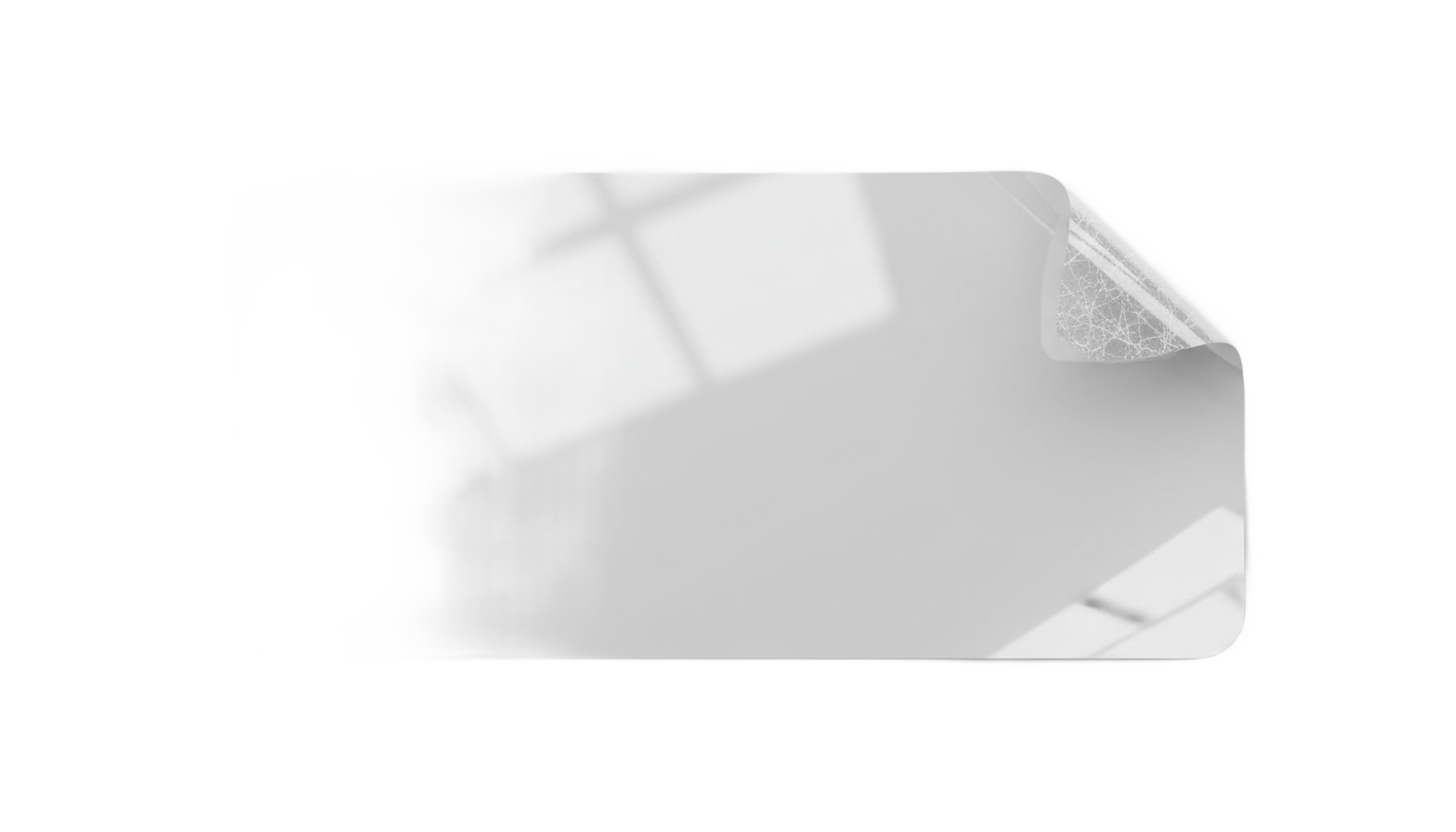 vinyl sticker png PNG transparent background
