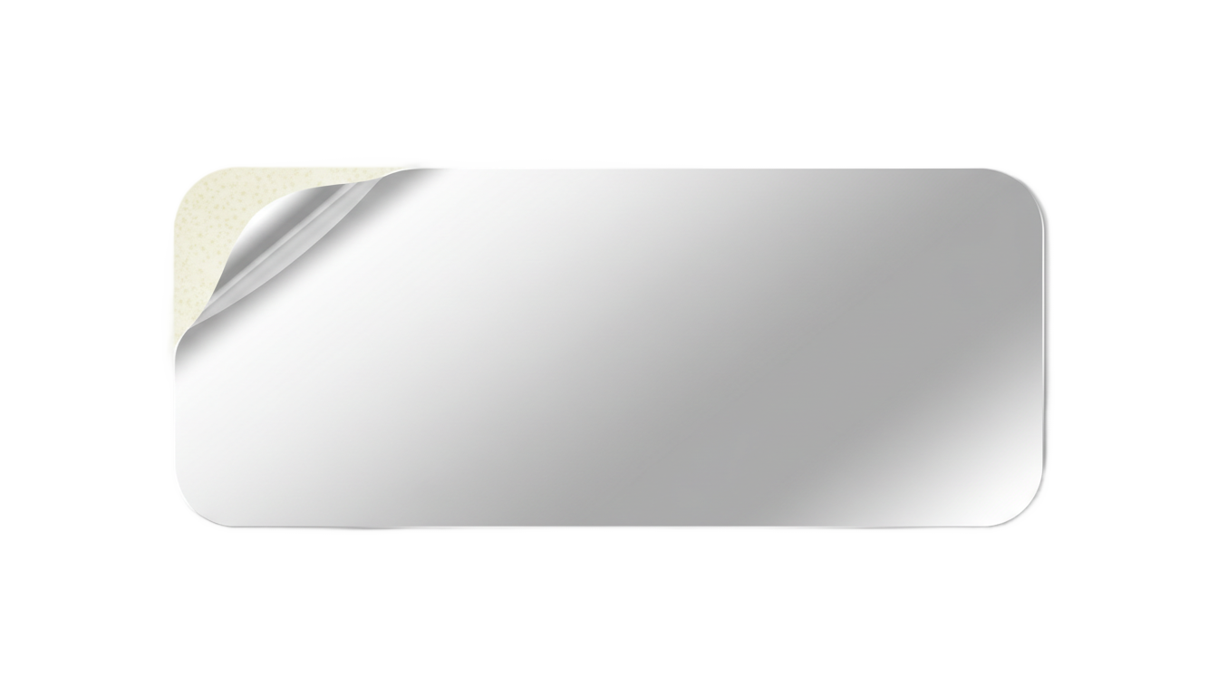 vinyl sticker png PNG transparent background