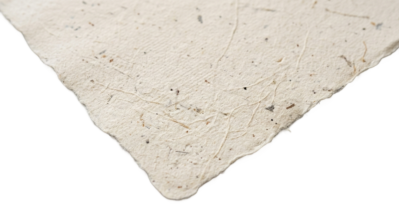 vector paper texture png PNG transparent background