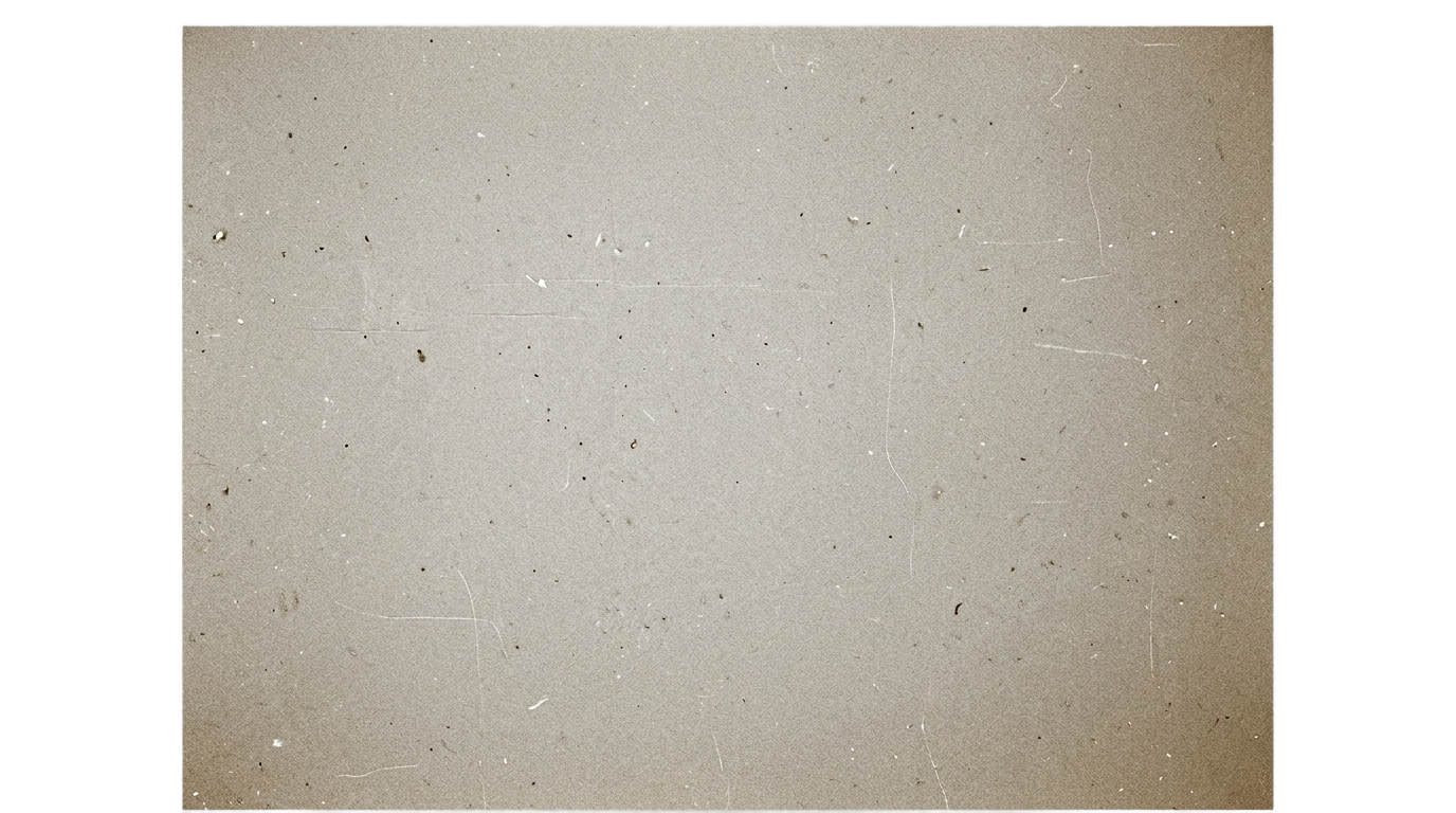 vintage grain overlay png PNG transparent background