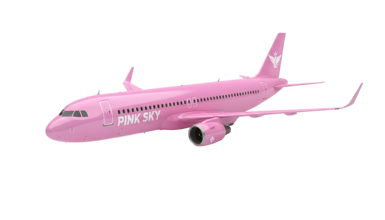 pink airplane png PNG transparent background