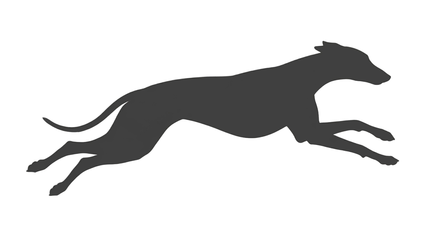 greyhound bus logo png PNG transparent background