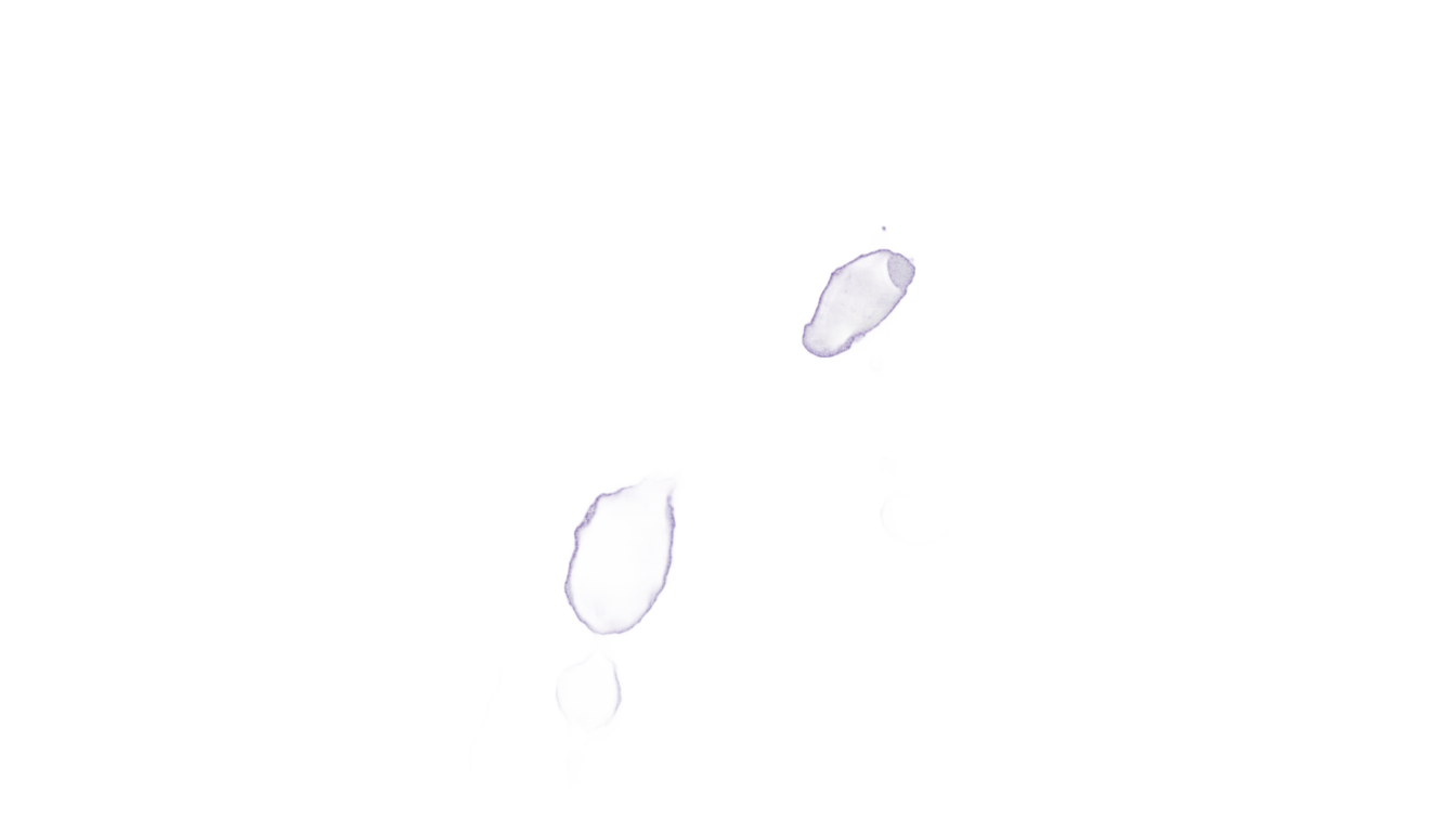 Watercolor Wash Png PNG #1a