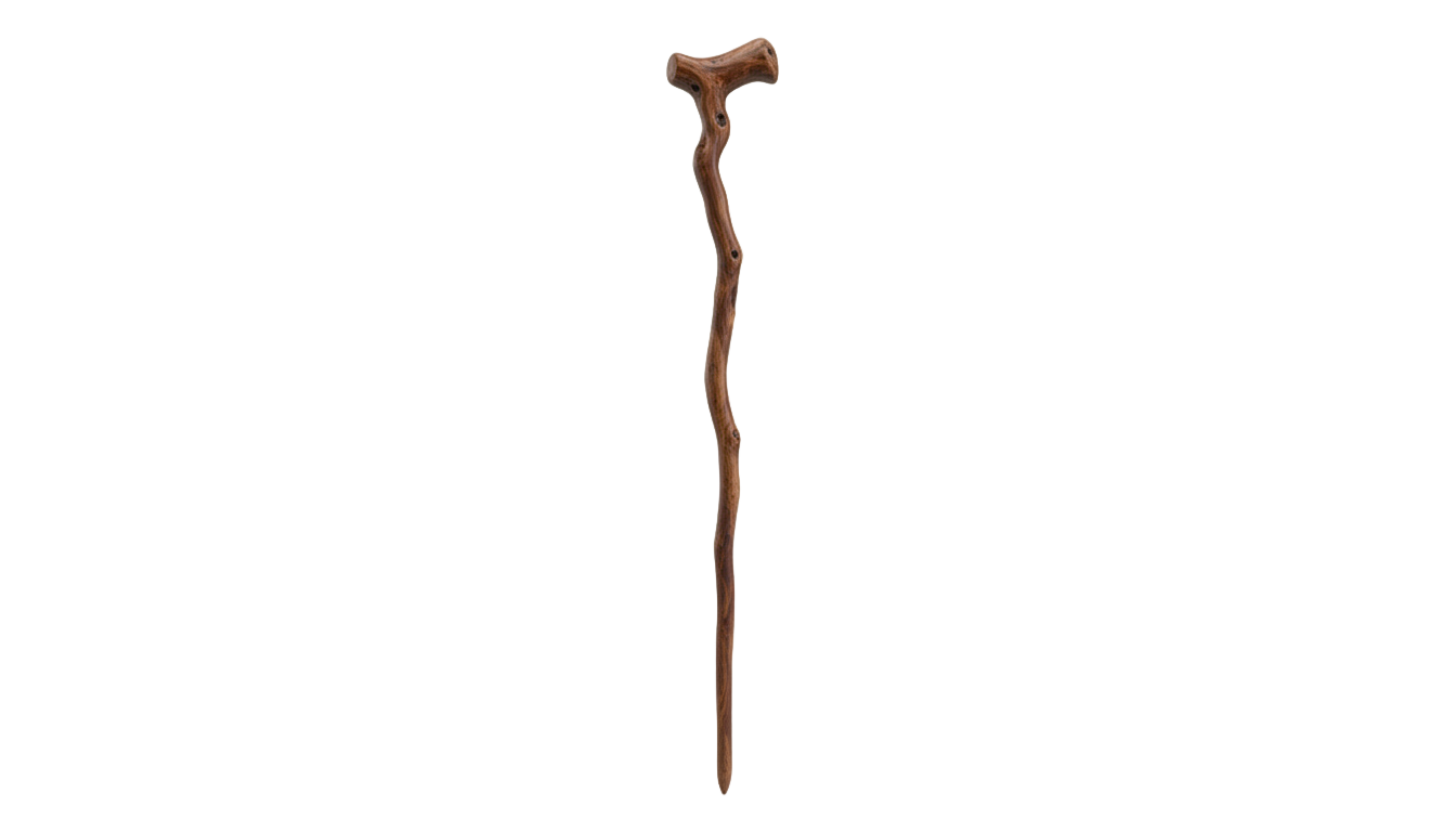 staff vector png PNG transparent background